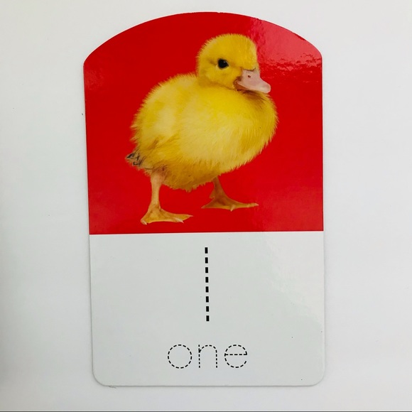 Numbers Counting Writing Boards - Picture 4 of 15